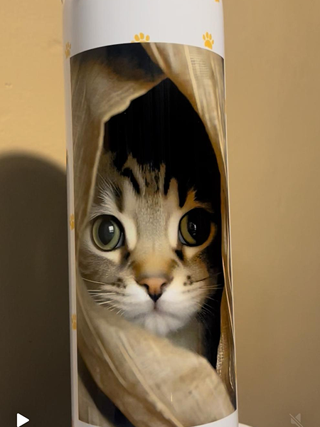 WhatsApp Image 2025-10-20 at 17.35.04 (4)