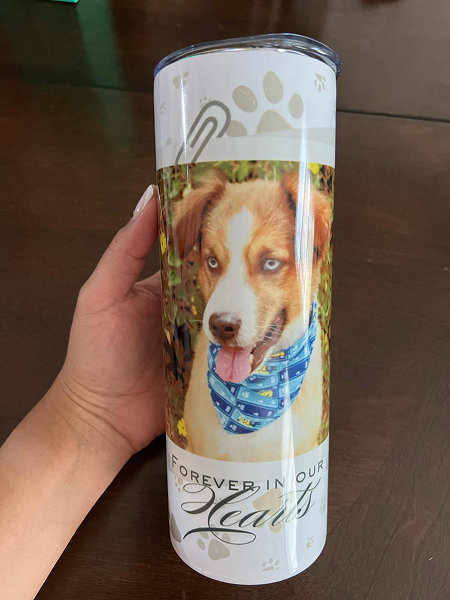 WhatsApp Image 2025-10-20 at 17.35.04